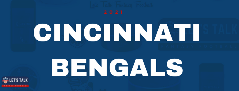2021 Fantasy Football Team Names - CINCINNATI BENGALS